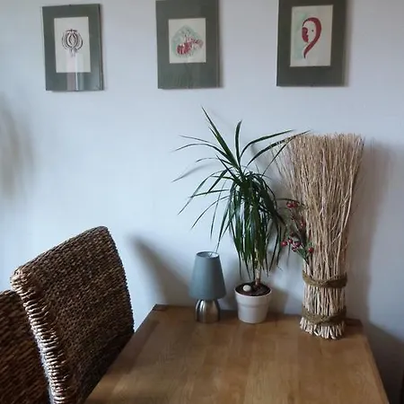 Daire Apartman Susice Sušice