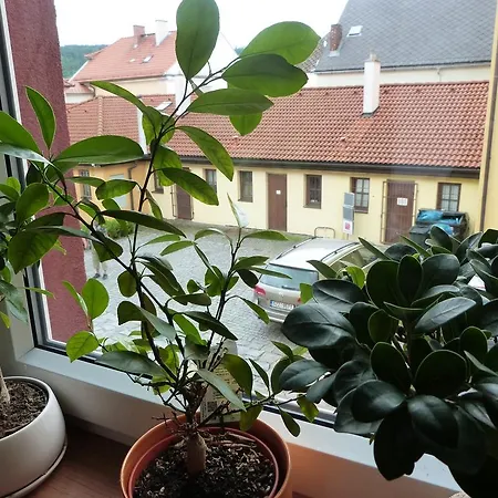 Apartman Susice