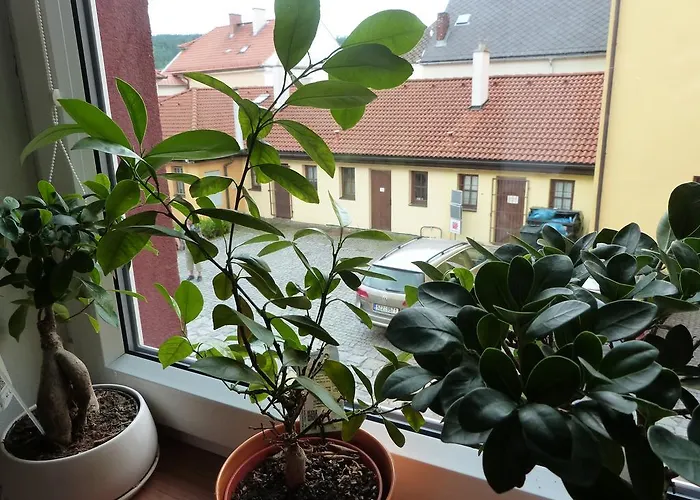 Apartmán Susice